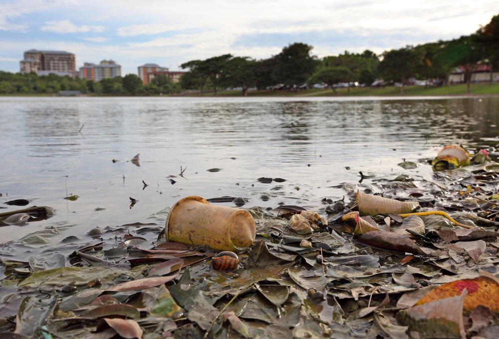 How to Measure Environmental Degradation Truthfully - Manward Press