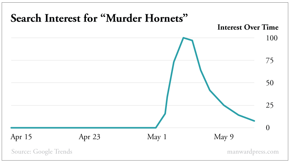 Murder Hornet Chart