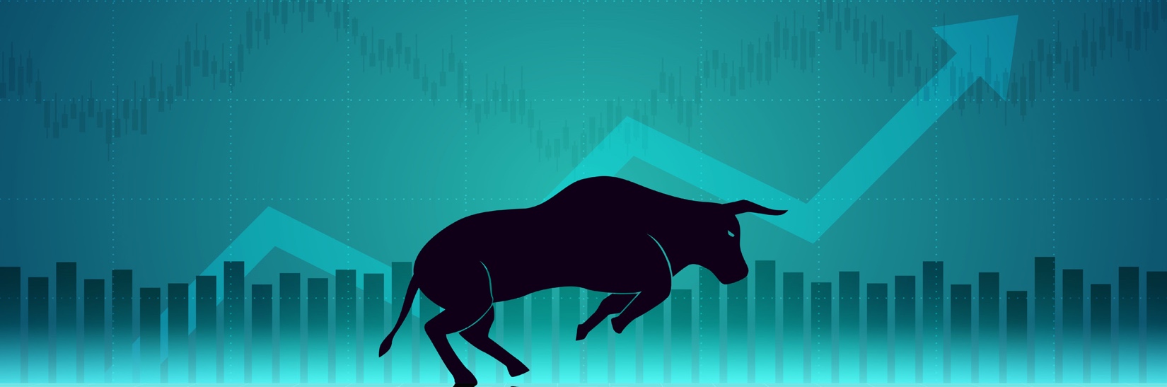 How We Plan to Profit from the Second Great Bull Market - Manward Press